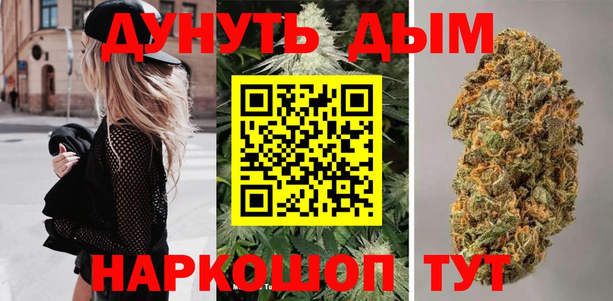 ГАШ Владимир